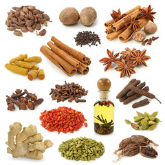 Spices Group