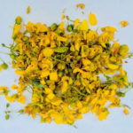 Avarampoo Herbal Baby Shampoo - 120ml - Image 2