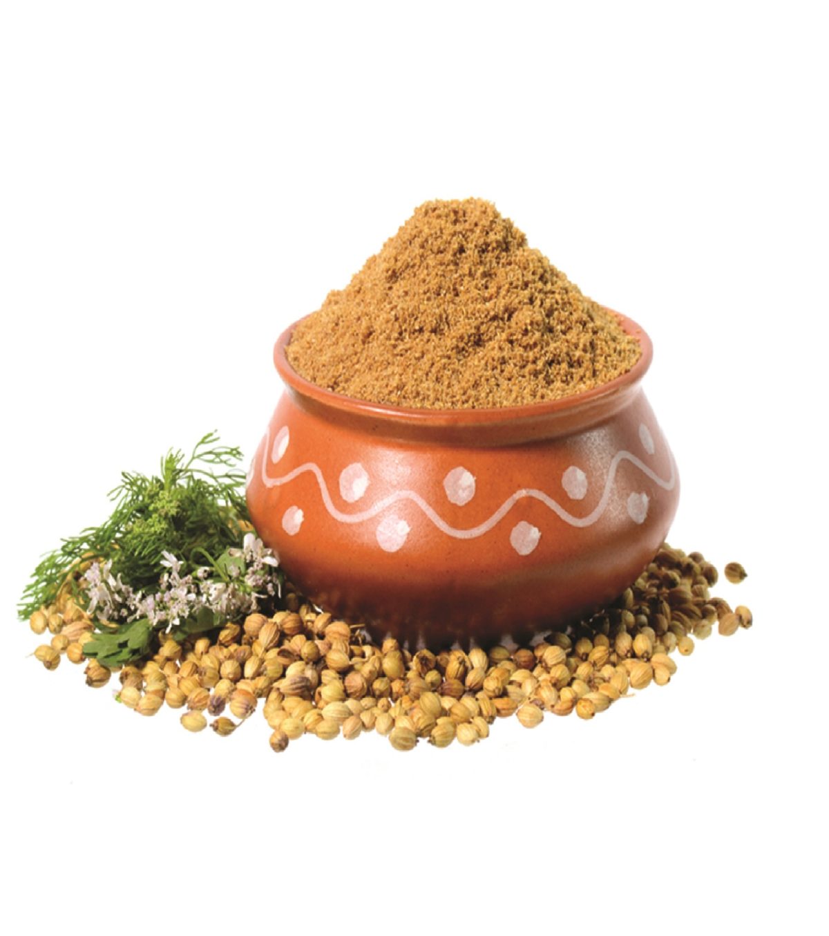 Coriander_Powder_250g coriander powder