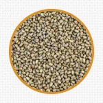 Mothbean / Dewgram / Pani Payaru (நரிப்பயறு) - Image 2