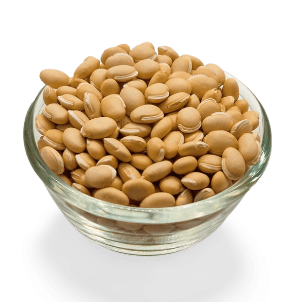 Mochai