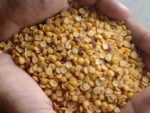 Toor Dal / Arhar Dal - Special / ஊறல் துவரம் பருப்பு | 1 Kg - Image 2