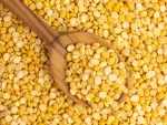 SPM - Channa Dal / Kadalai Paruppu - 500 gm - Image 2