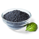 Sesame - Black - Image 2